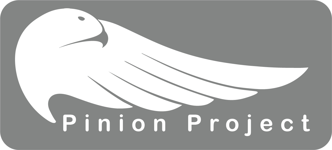 Pinion Project